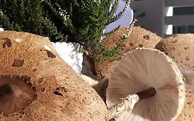 Przystan Na Zagorzu - Apartamenty Nad Jeziorem